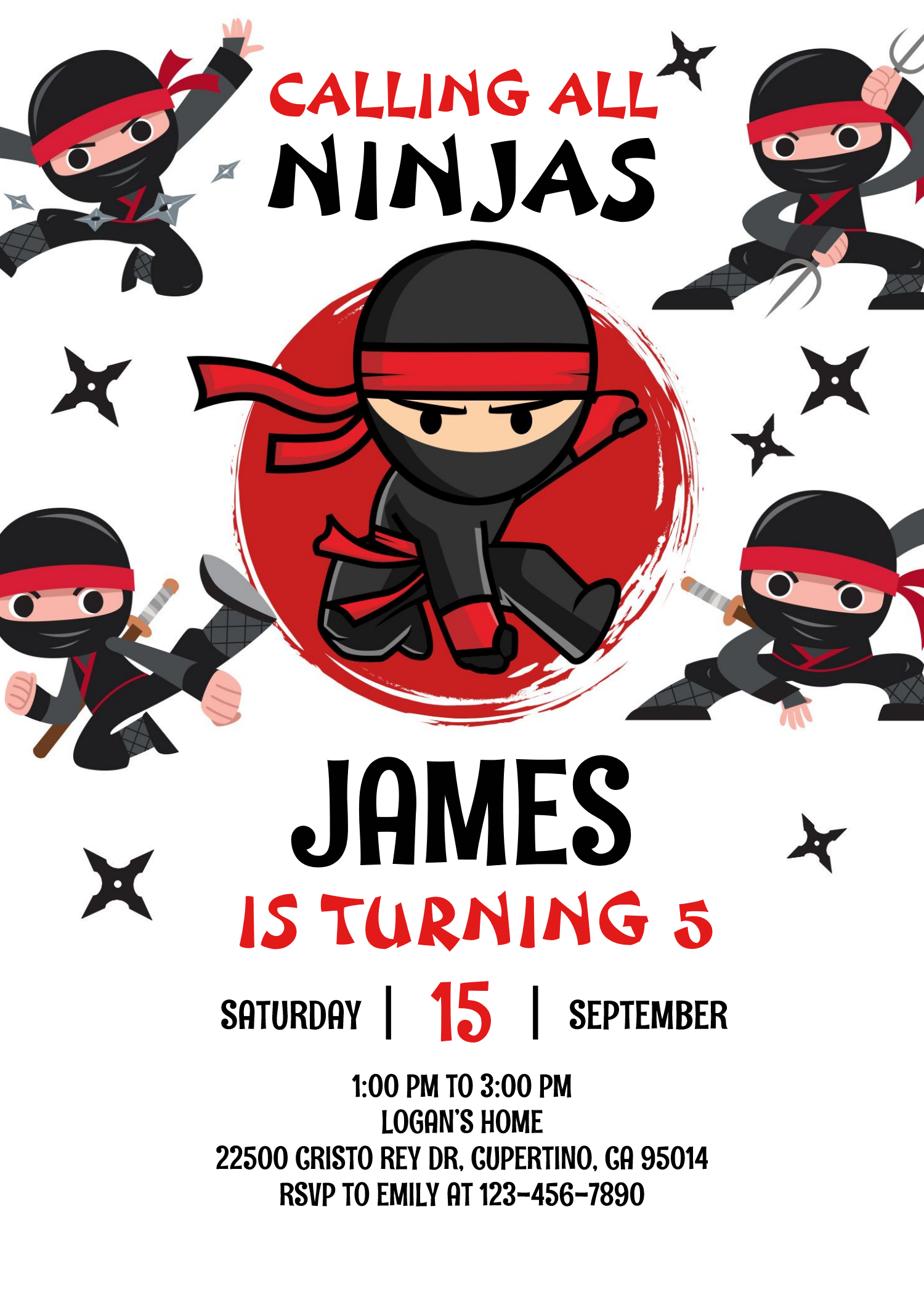 Ninja Warrior Karate Kids Birthday Party Invitation
